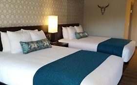 The Hotel Y